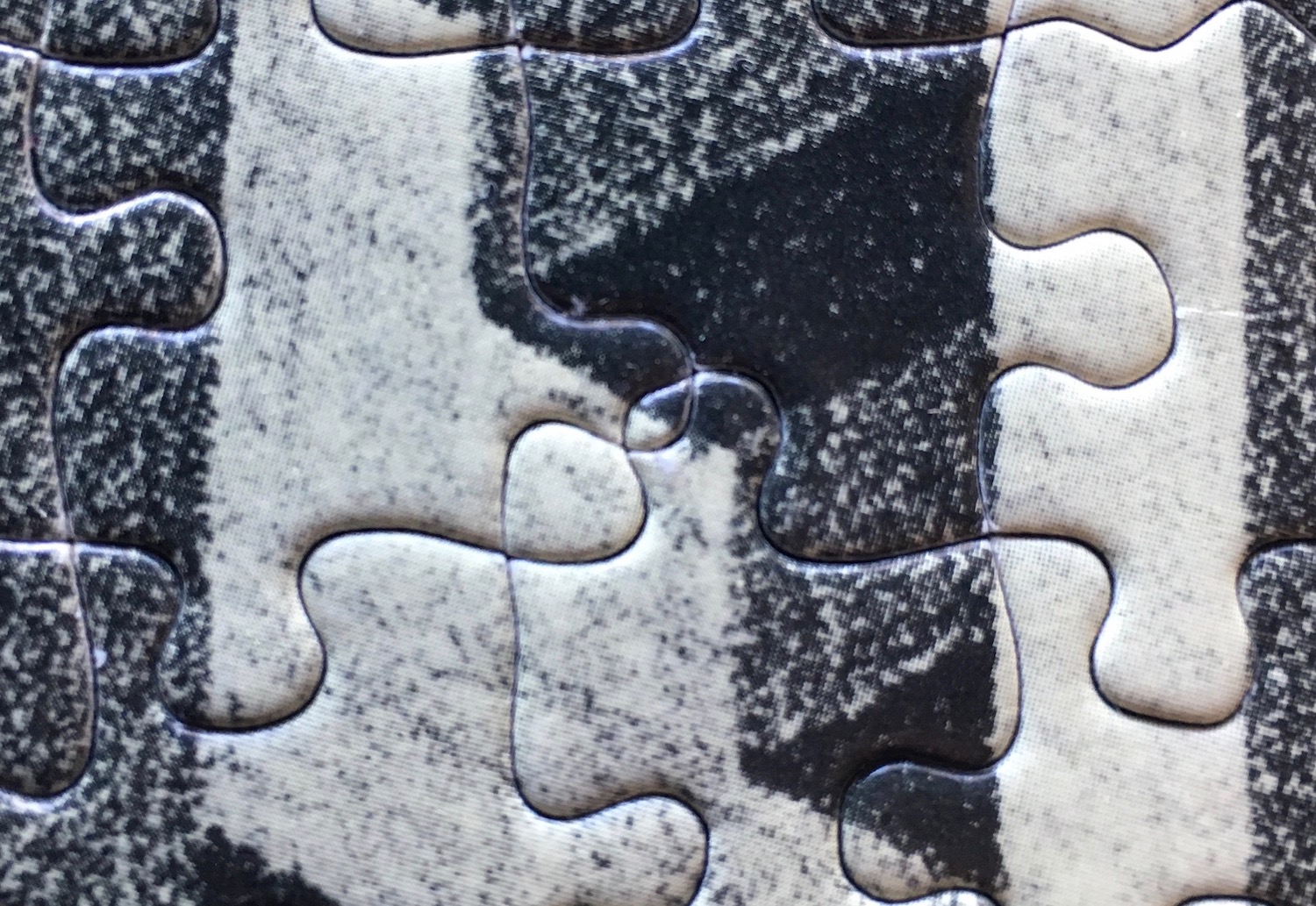Image of the Puzzle 1000, Selegiochi, Concave and Convex, Defective Die