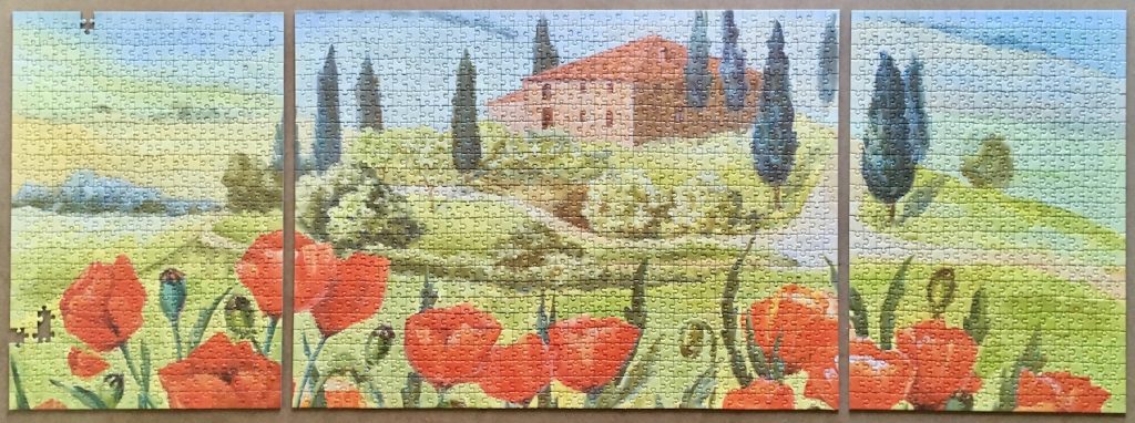 Image of the puzzle 2x500, 1000, Spiel Spass, Lawn with Poppies, Puzzle Assembled, Blog Post